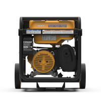 FIRMAN® Dual Fuel Portable Generator 3650W Recoil Start #H03652